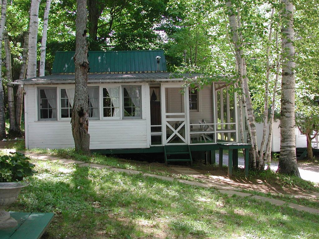 Birch Cliff Lodge On Baptiste Lake Highland Grove Chambre photo