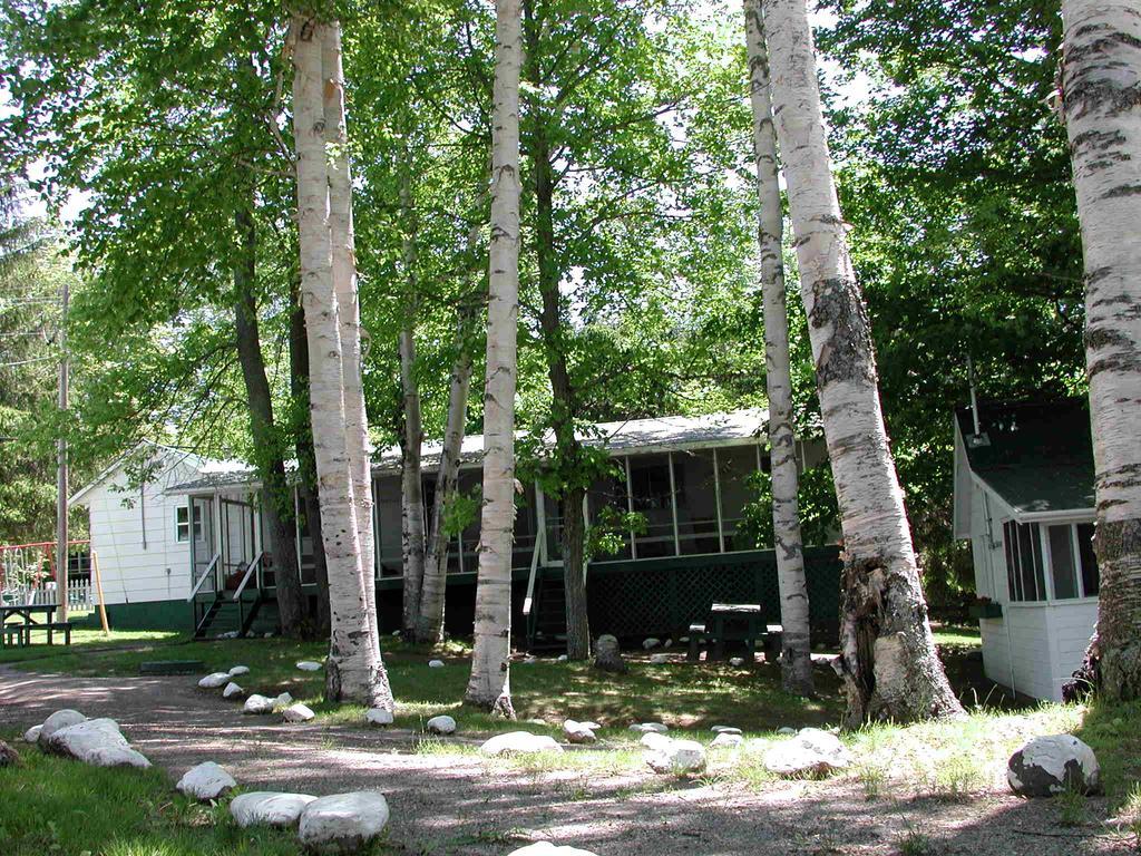 Birch Cliff Lodge On Baptiste Lake Highland Grove Chambre photo